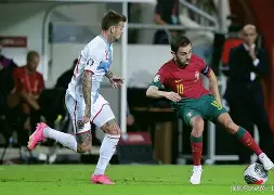 C7娱乐官网-塞尔维亚对抗葡萄牙，欧预赛复赛激荡的简单介绍