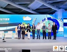沃尔夫斯堡获胜，向德国顶级联赛争冠发起冲刺的简单介绍